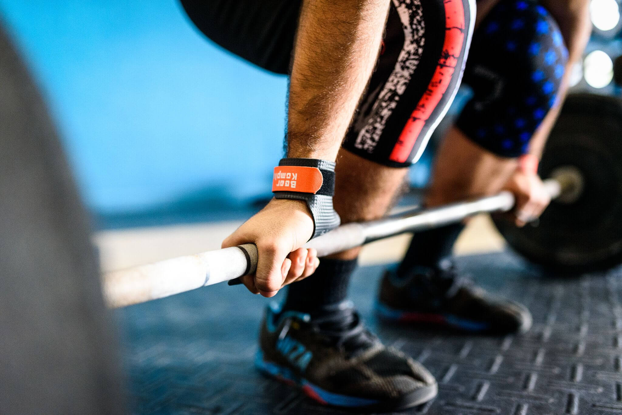 Bear KompleX Knee Sleeves